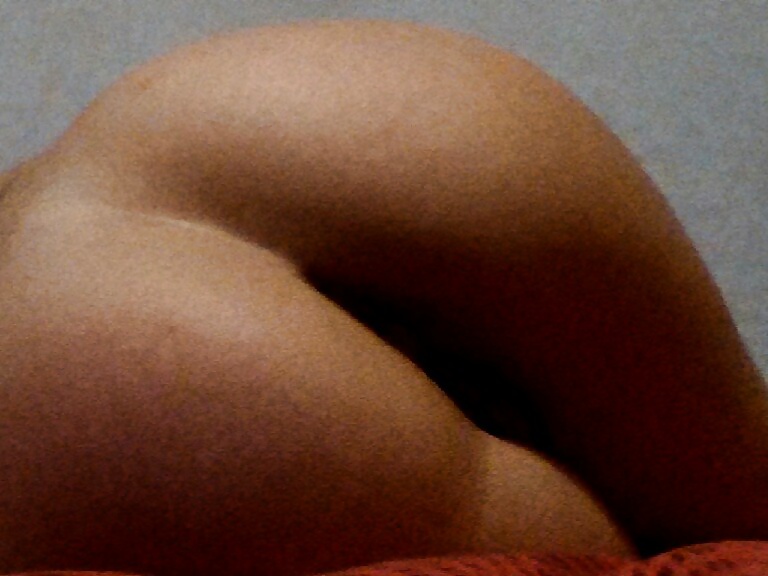 Bilder #40562404