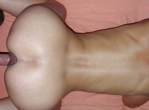 Rosette 17 #32055050