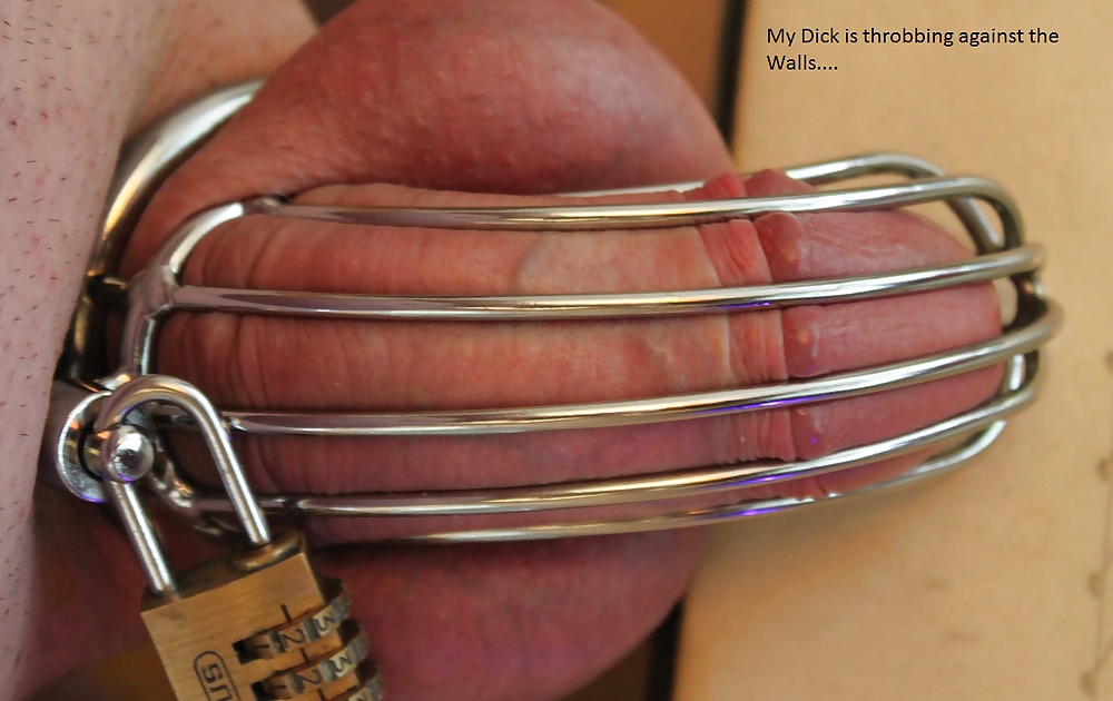 Chastity Day 7 #33001742