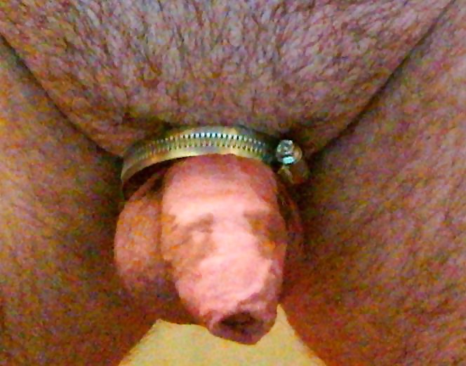 シュラウチシェール
 #29372985