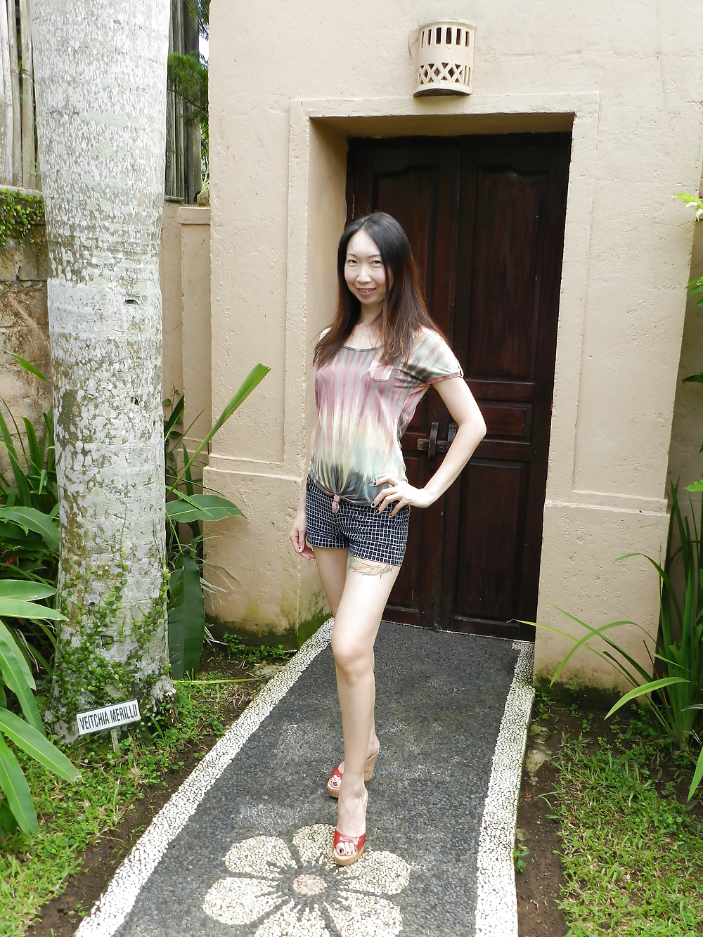 Drecksau zhi - die chinesensau im urlaub outdoor strip
 #33415928