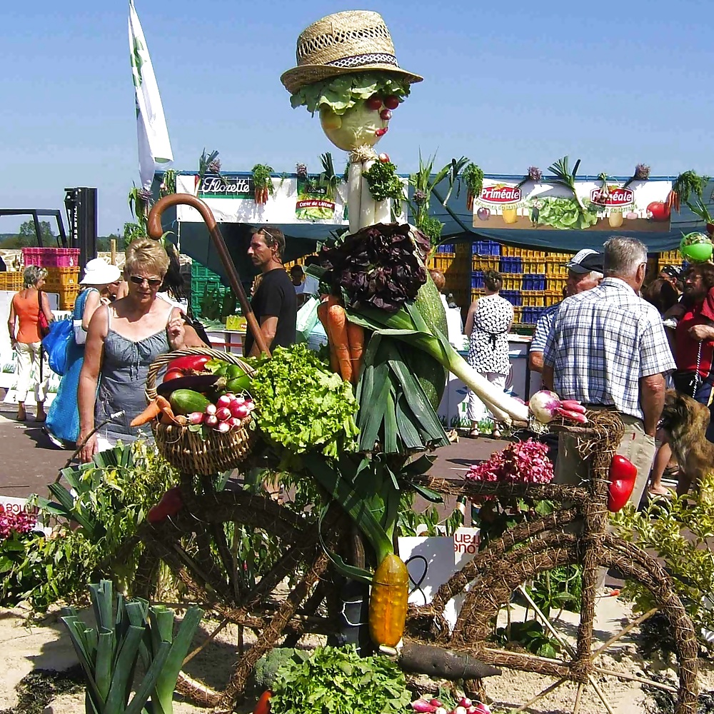 Fete de la carotte, creances (francia)
 #32600729