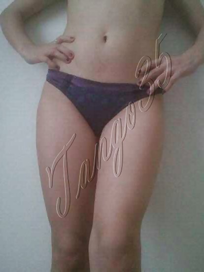 Zorra turca melda
 #29563944