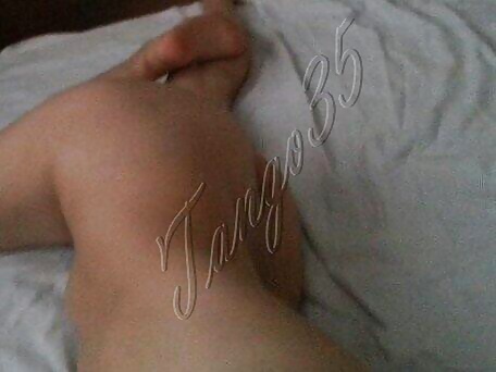 Zorra turca melda
 #29563960