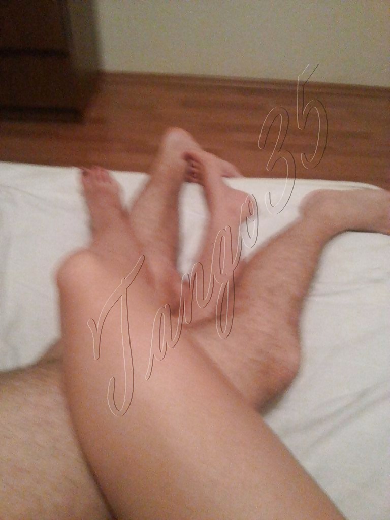 Zorra turca melda
 #29563969