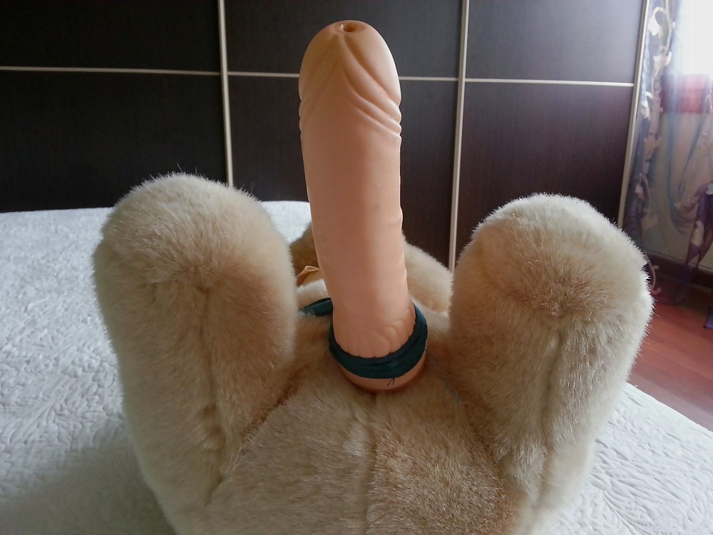 Mi dulce osito
 #36809503