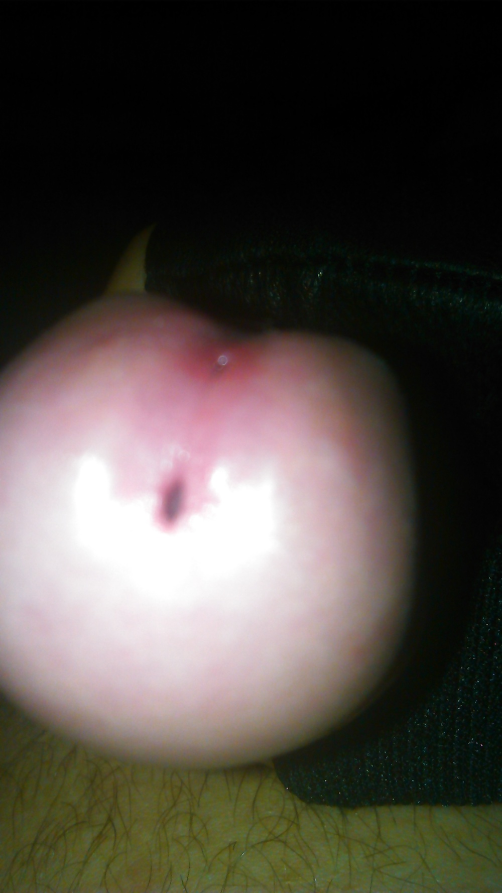 その他の写真
 #31498869