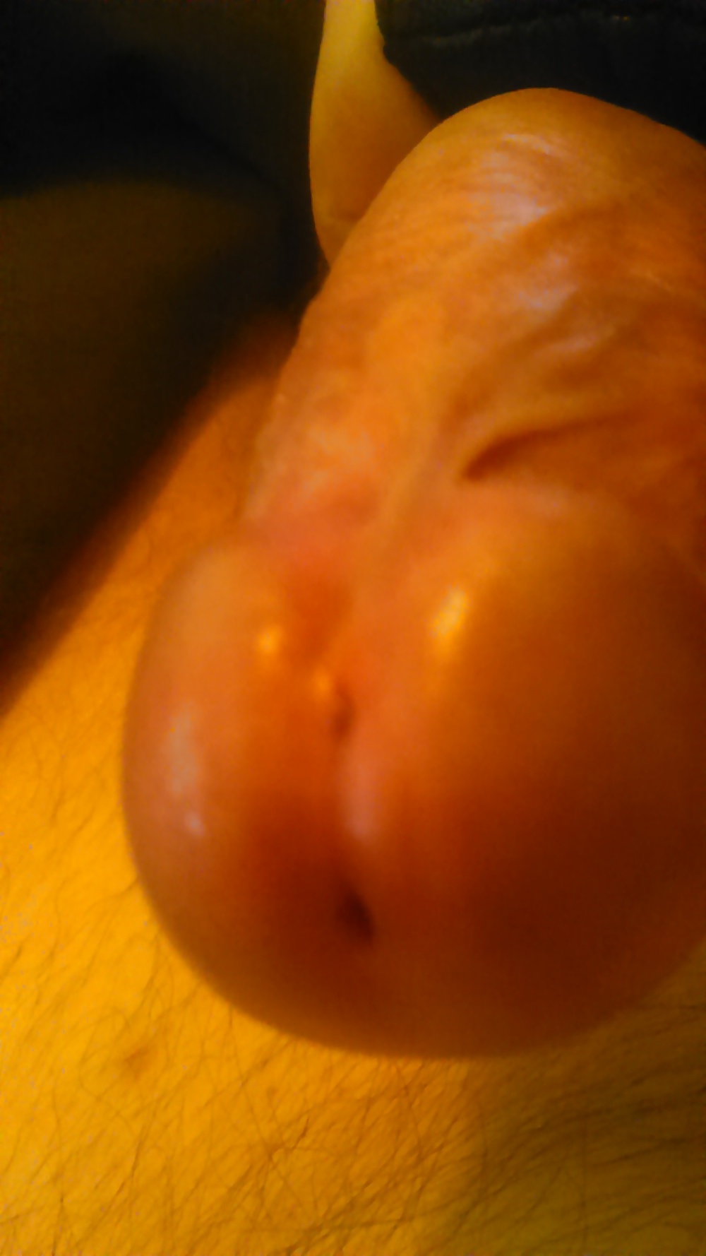 その他の写真
 #31498870