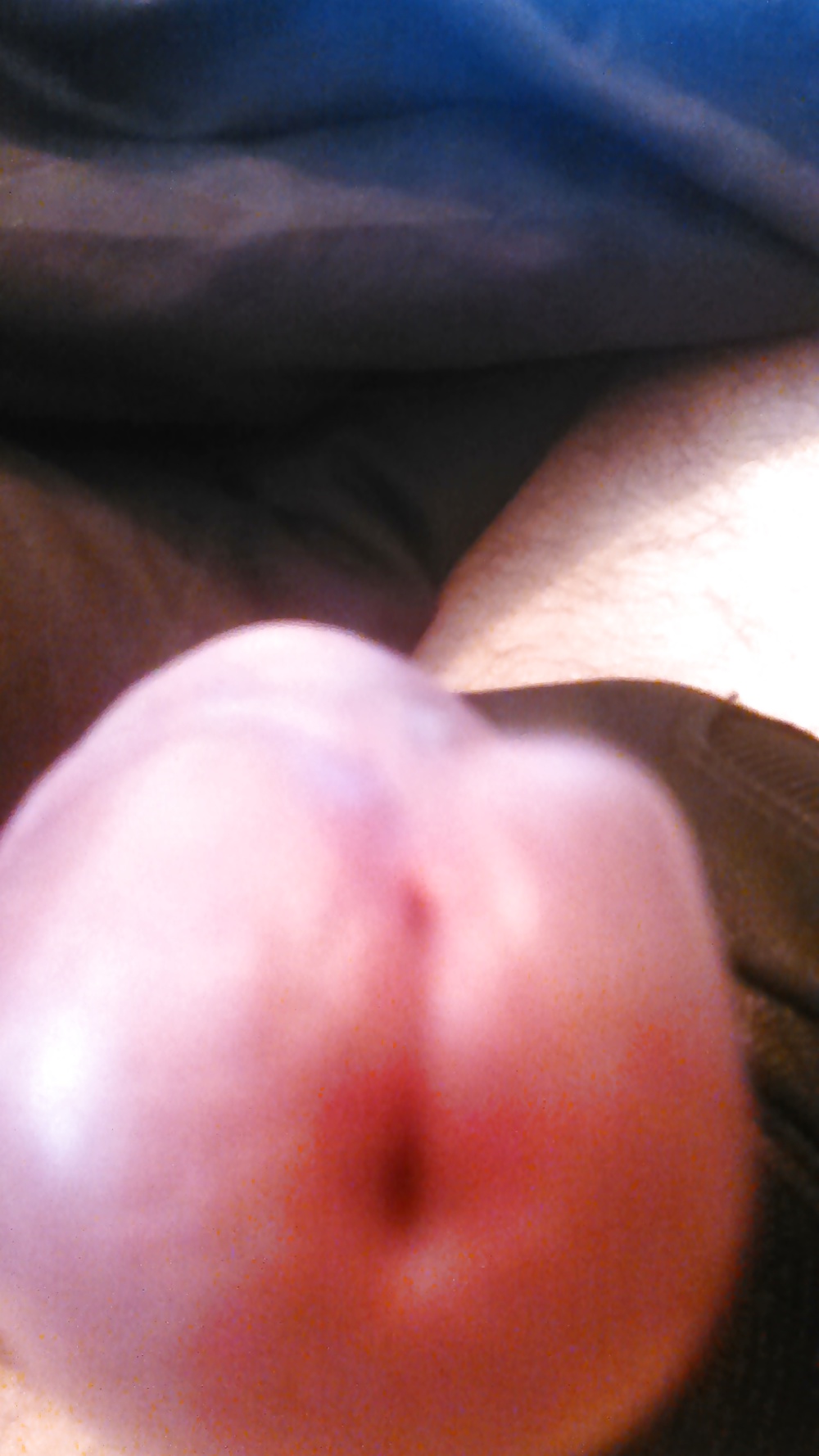 その他の写真
 #31498878