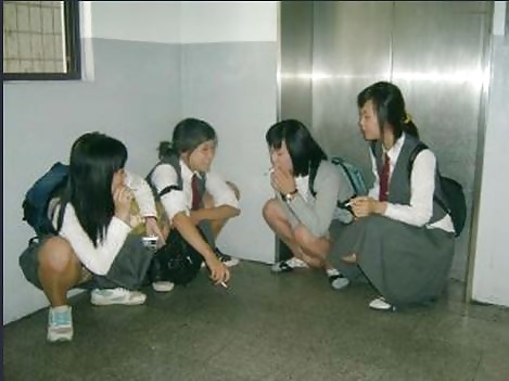 Yogoding coreano
 #38900375
