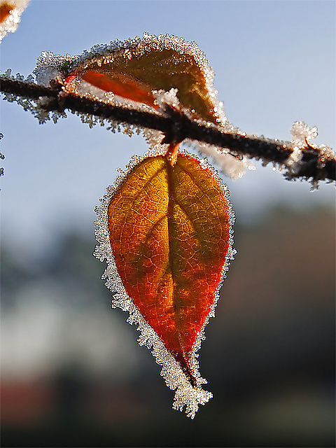 Todo este dolor que he tratado de ocultar ... 
 #29753207