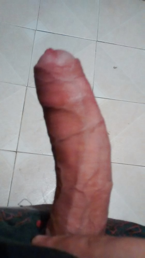 Mi pene 
 #28042744