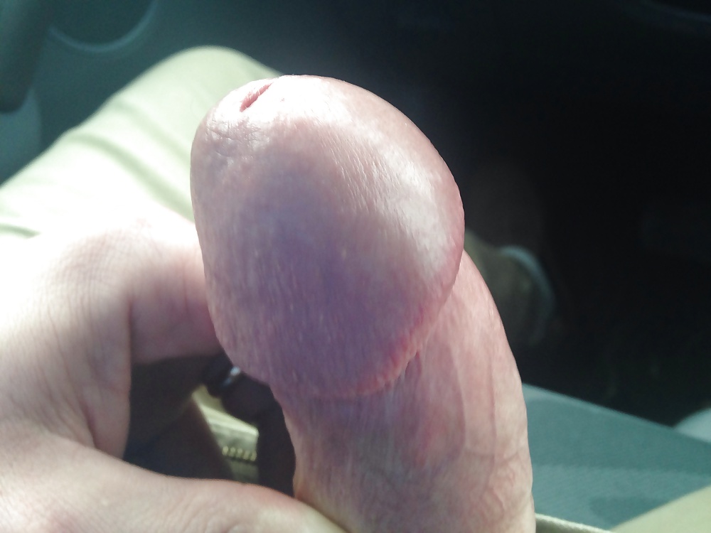 Polla grande
 #39056491