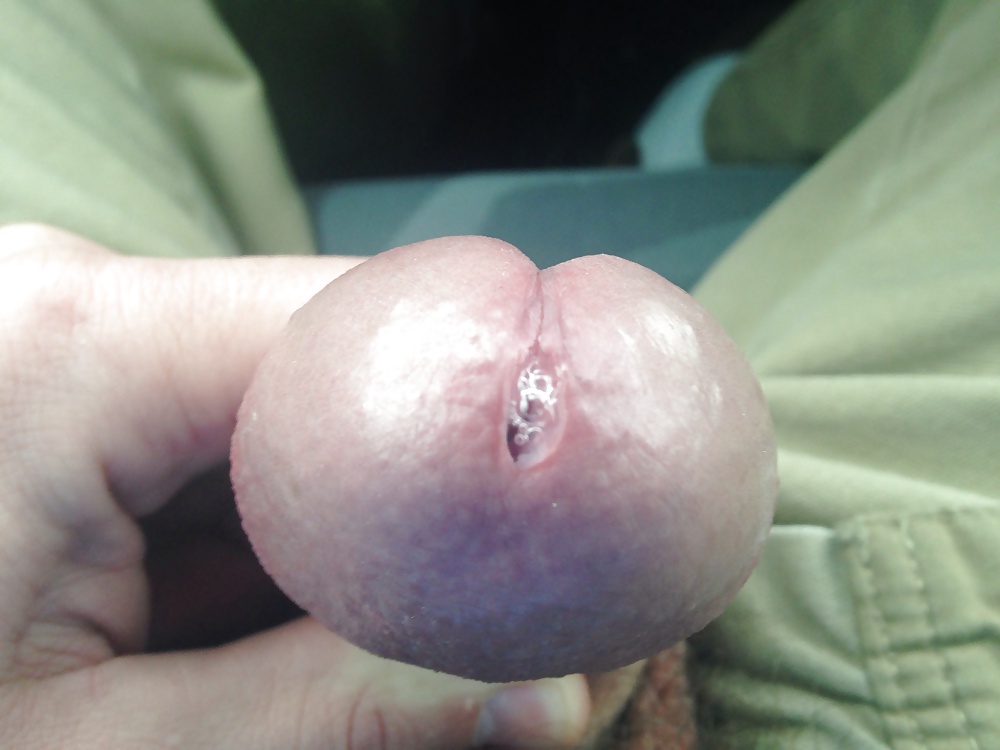 Polla grande
 #39056531