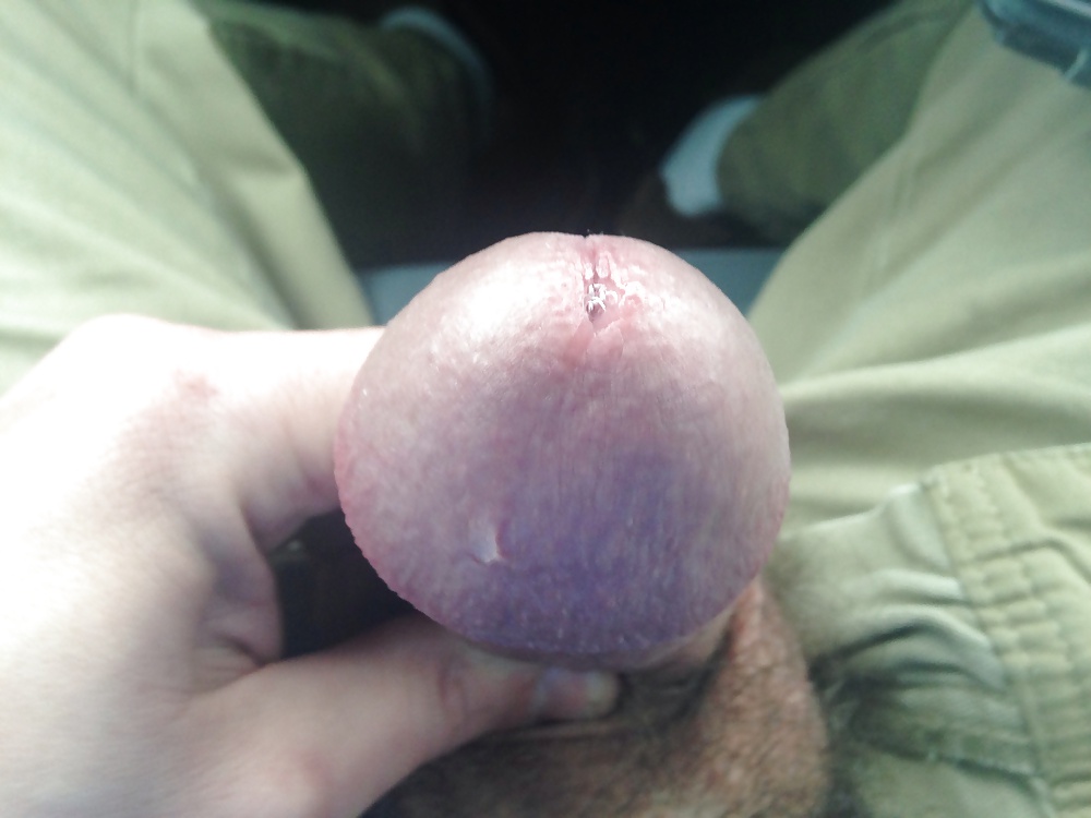 Polla grande
 #39056638