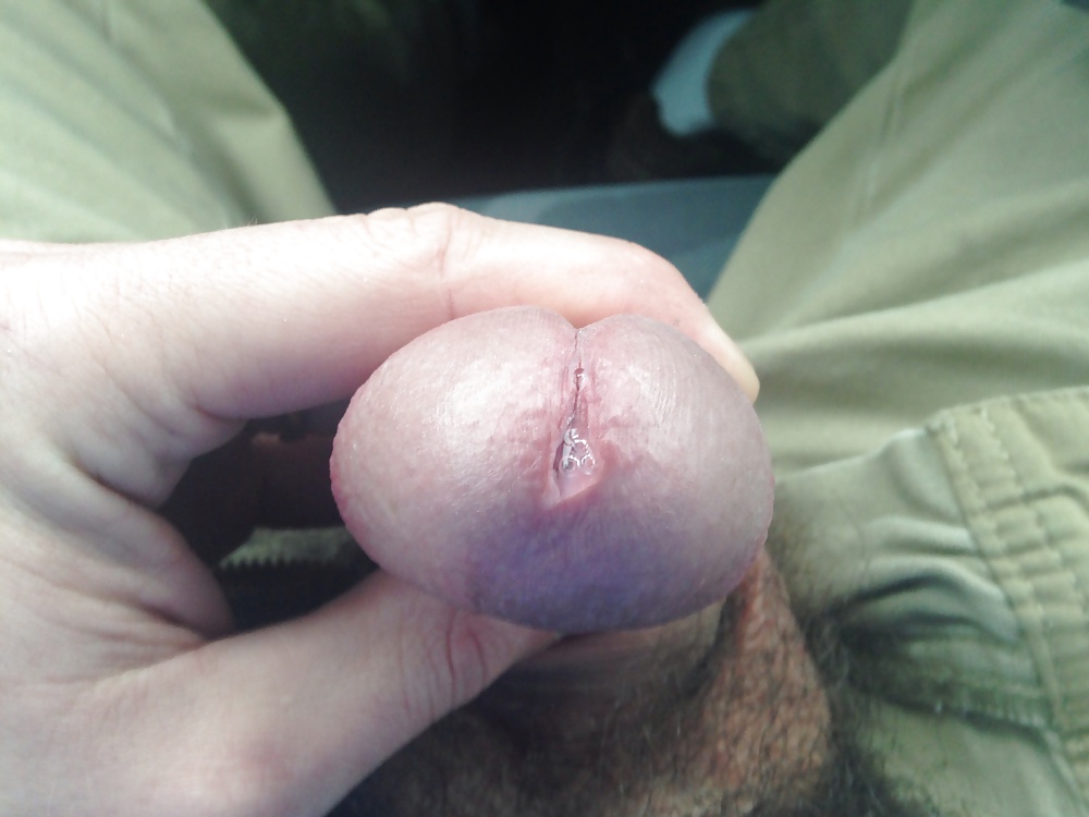 Polla grande
 #39056647