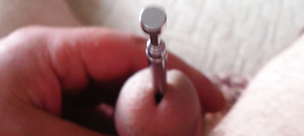 私のシュヴァンツ
 #39350147