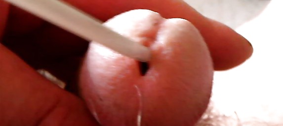 私のシュヴァンツ
 #39350163