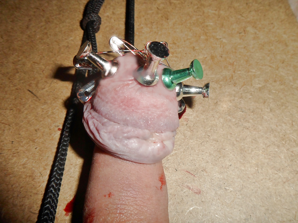 Gestreckte Pined Cbt #23618195