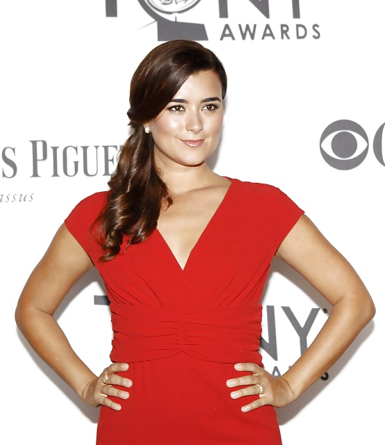 Cote de Pablo 2 #29852009