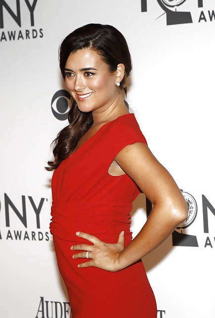 Cote de Pablo 2 #29852014