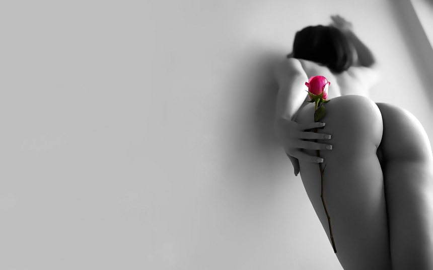 花だけ
 #39034770