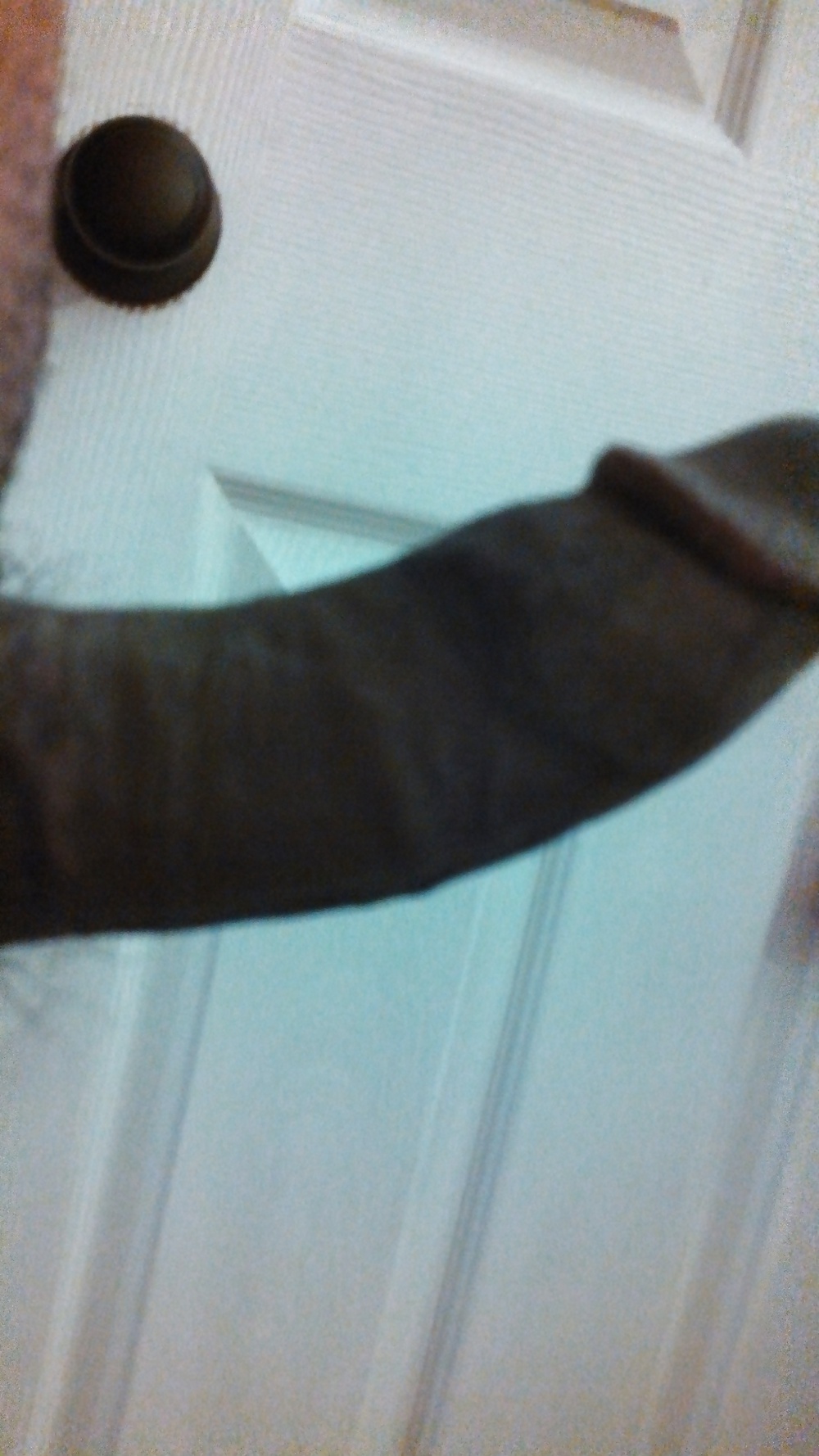 Madera de la mañana
 #36543992