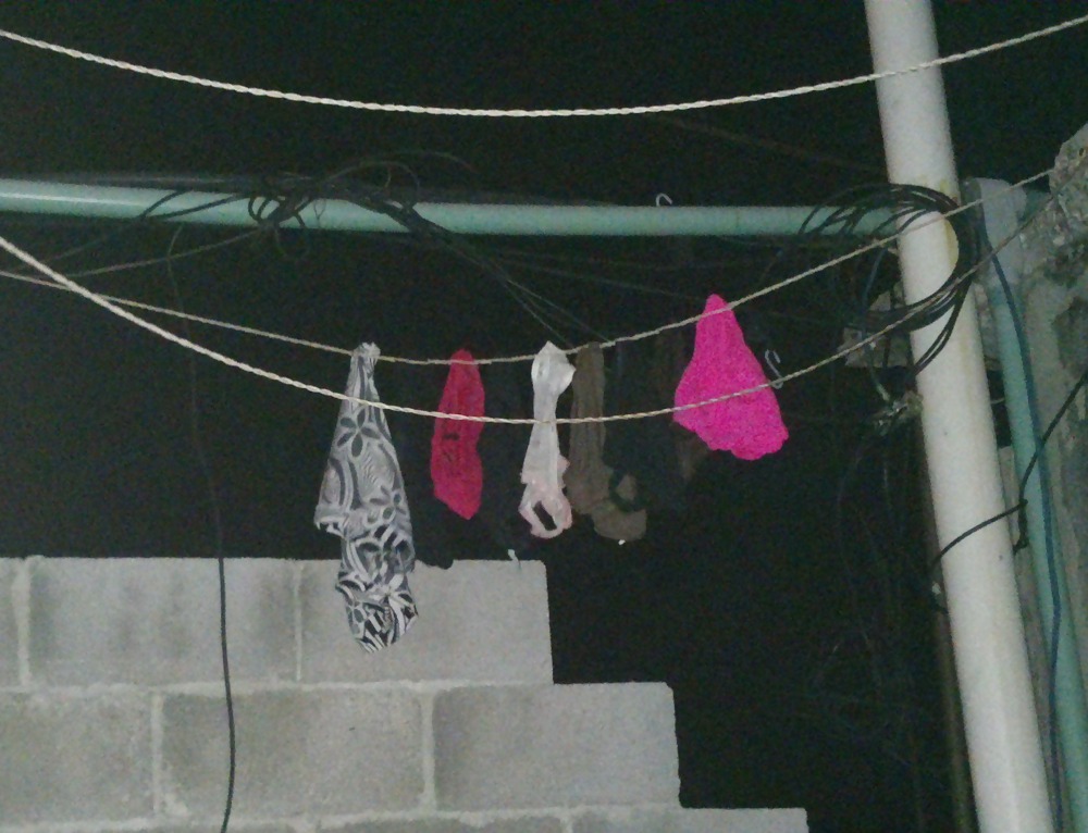 My neighbors #24836311