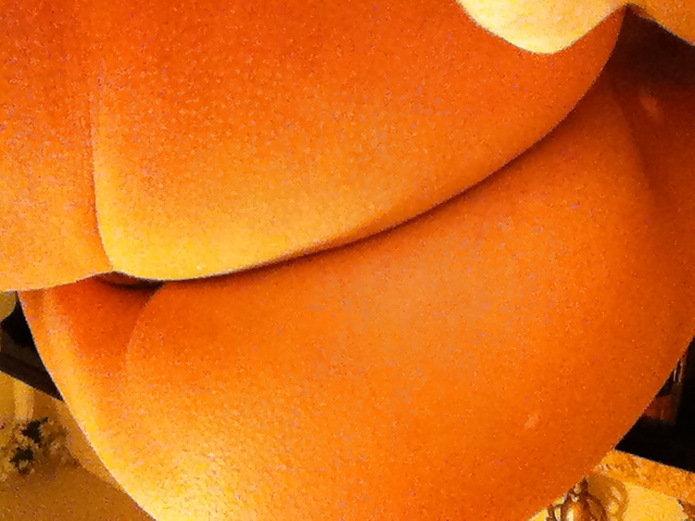 ジャン
 #25590838