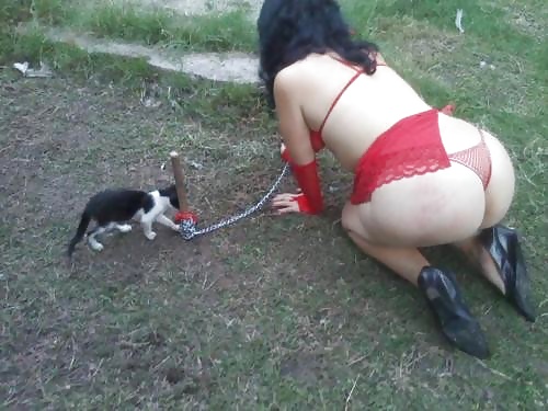 BDSM Pet Play #25514135
