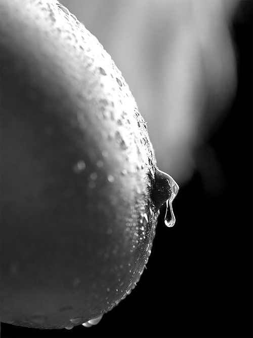 Janas art de la joie 237
 #33094824