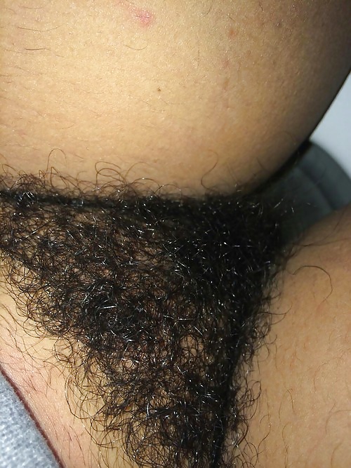 Just Hairy Pussy #29121468