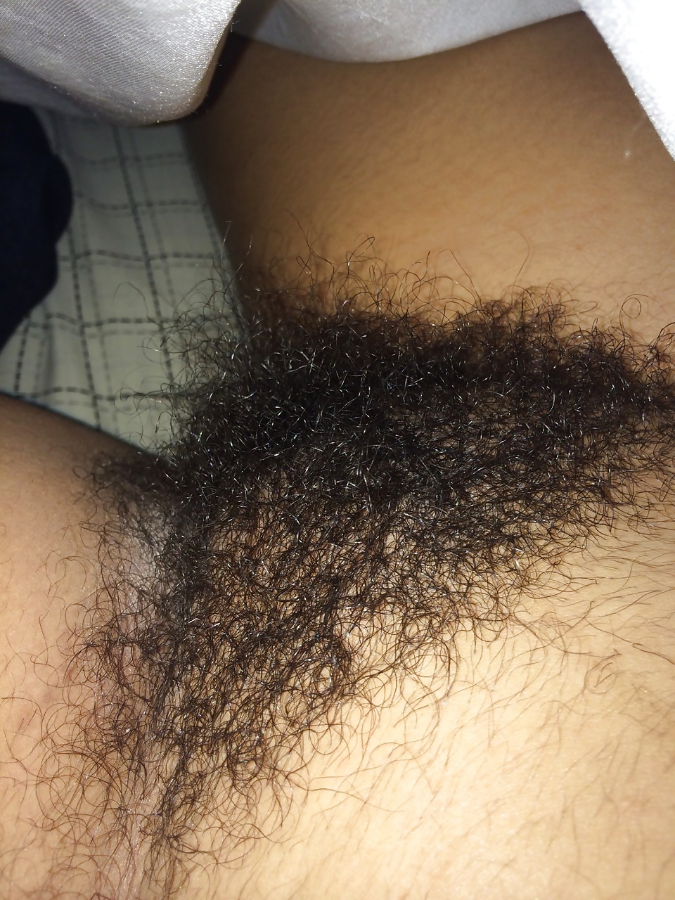 Just Hairy Pussy #29121495