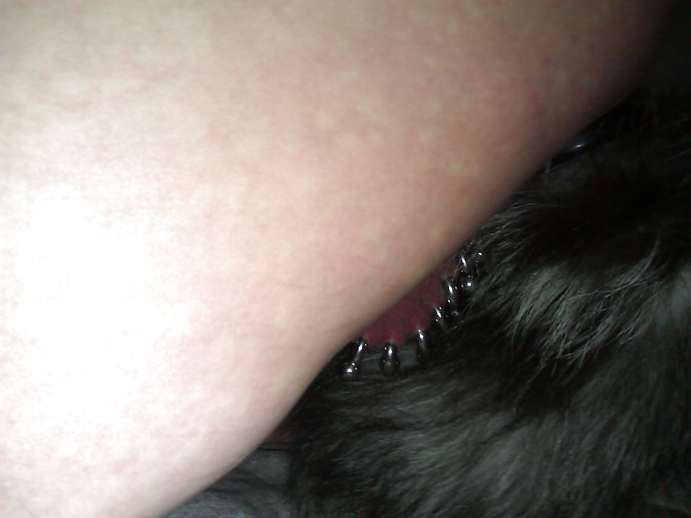 Yeff-My Foxtail Plug 01 #23185827