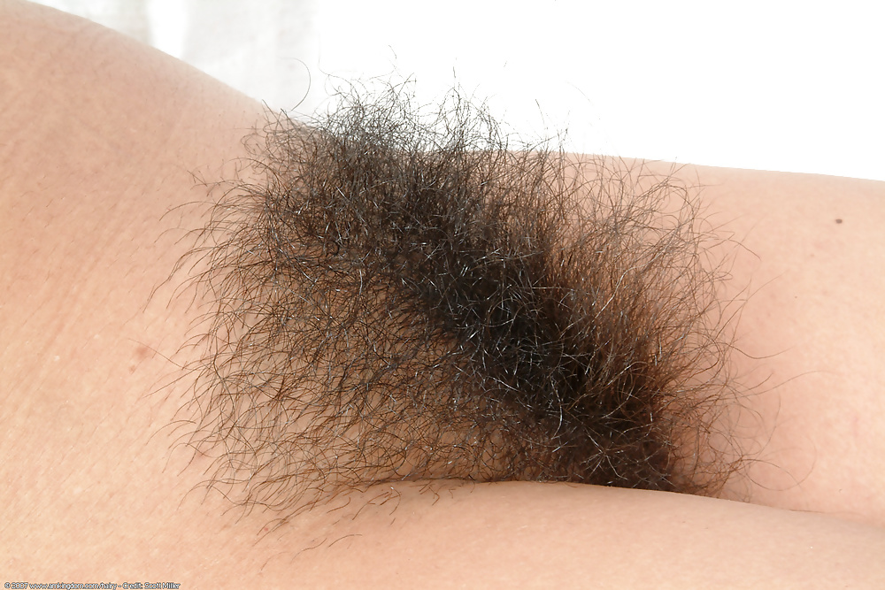 Avery y su arbusto ancho, negro, grueso y triangular. 
 #40198039