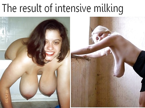 The result of intensive milking #38624940