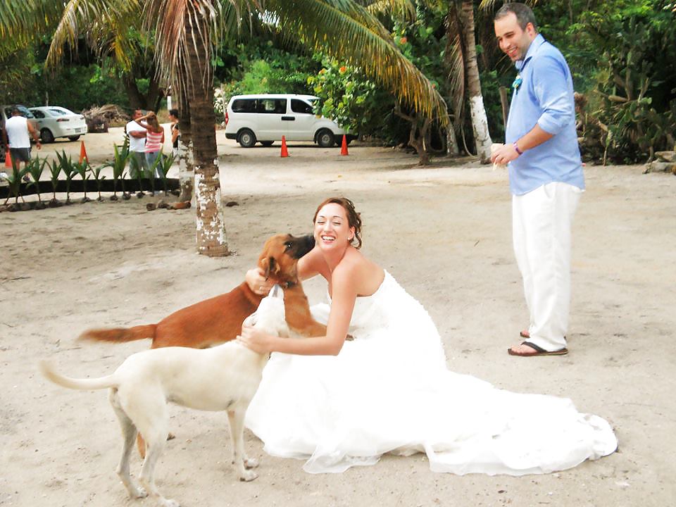 Mujeres en vestidos de novia - frauen in brautkleidern
 #24187297