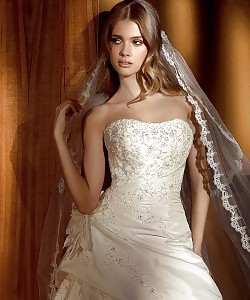 Women In Wedding Dresses - Frauen In Brautkleidern #24187388