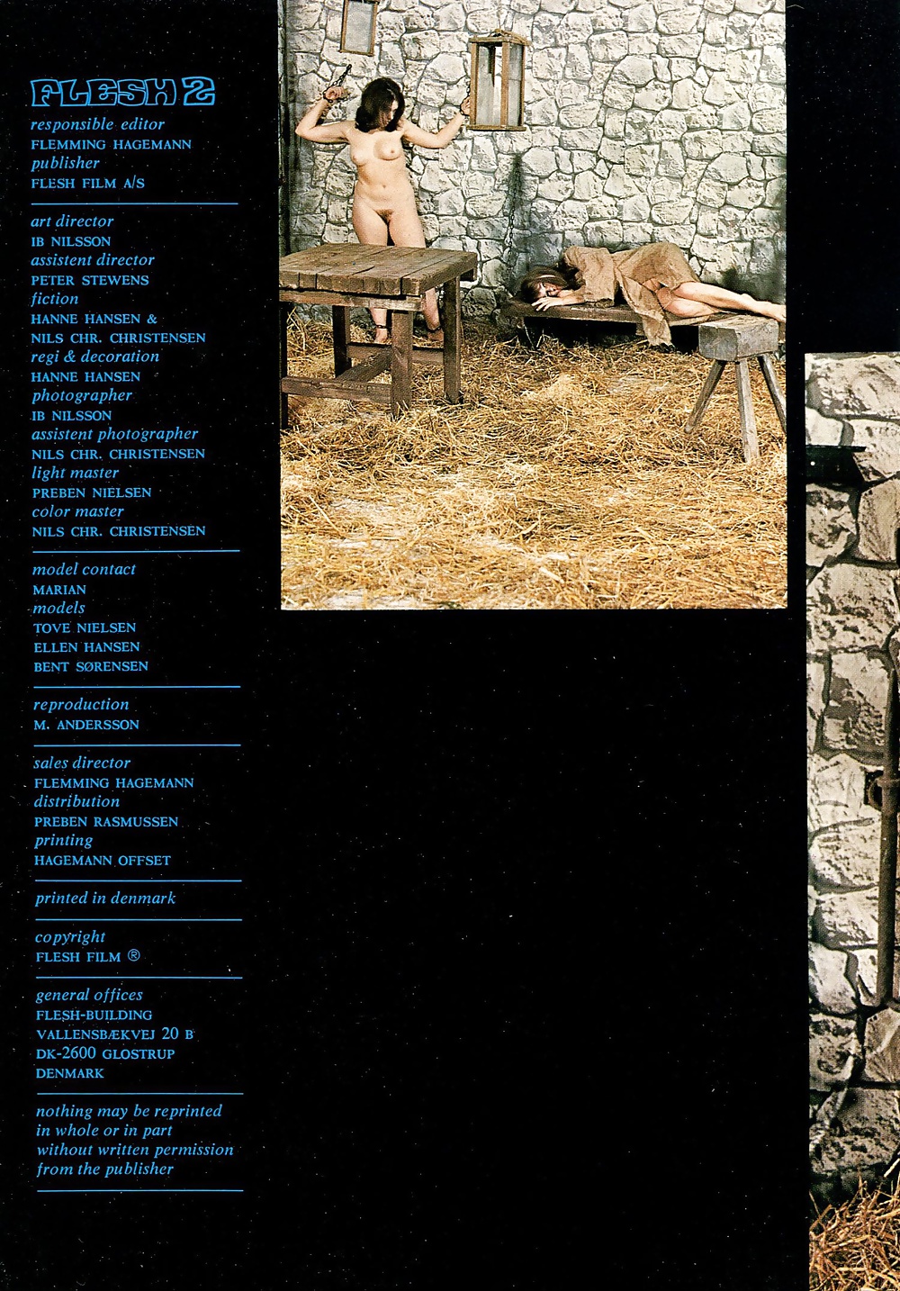 Flesh 2 (executioner) #28612805