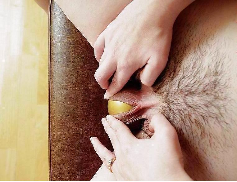 Pussyes with some accesories  #24908297