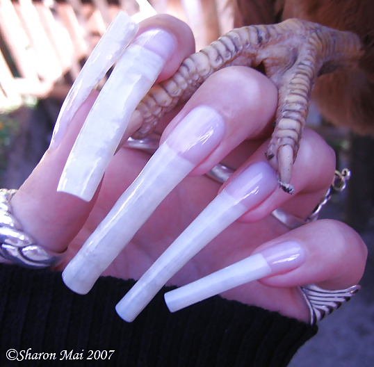 Rare long nails photos #1 #27044418