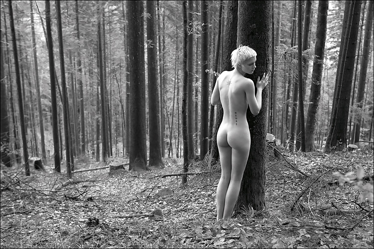Klassische Weibliche Form In B & W #28929811