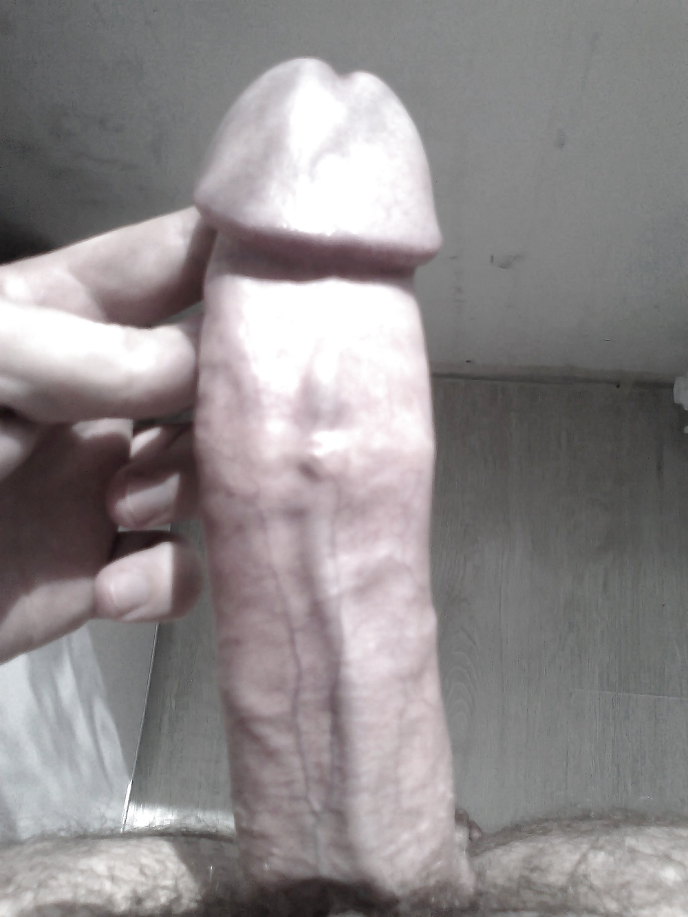 Nueva foto polla
 #27767624