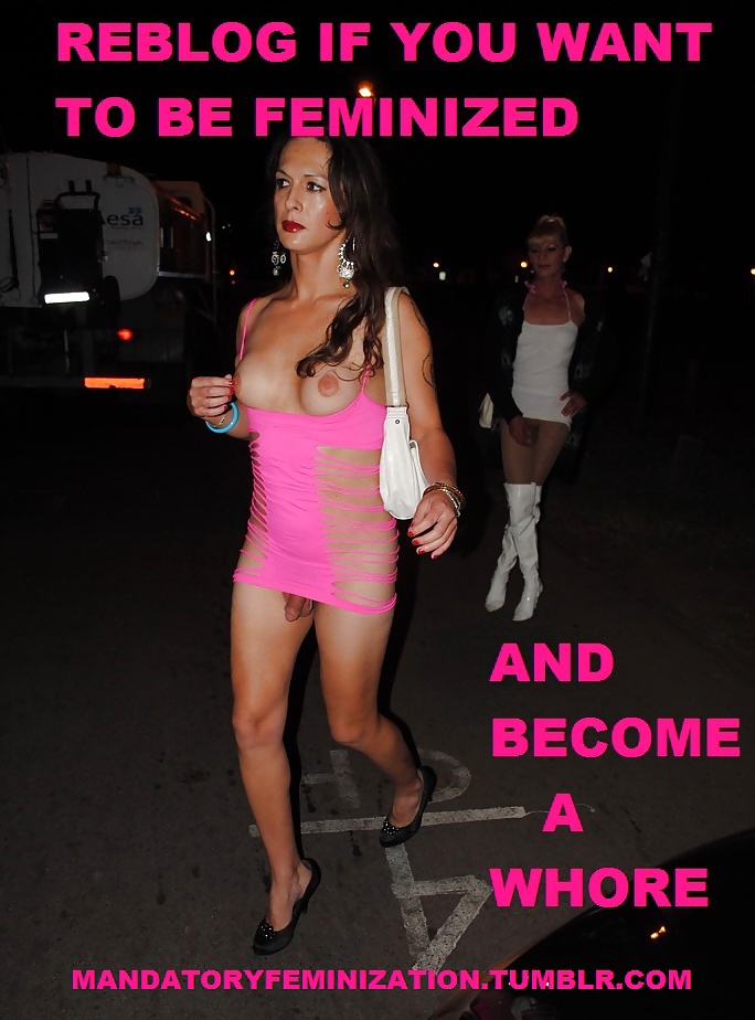 Sissy heaven
 #38933977