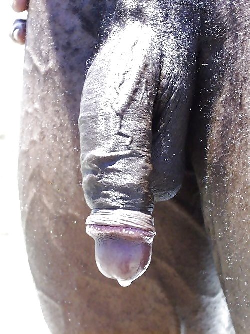 Sissy heaven
 #38933994