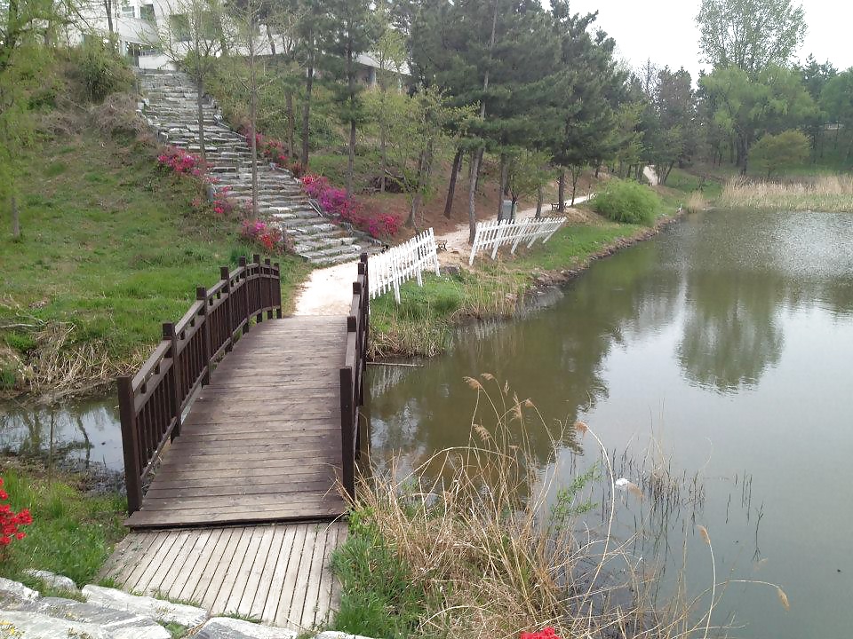 On my way to S Korea and some pics while I was there!!! #35364873