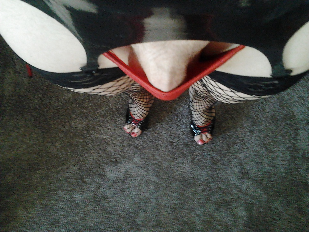 Nueva sensación de zorra 
 #28237373