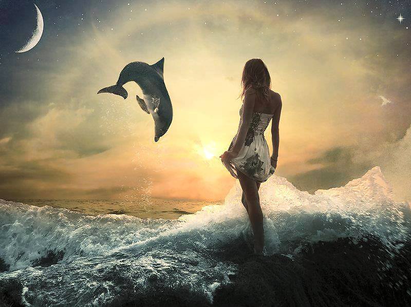 Para los amigos y todo.
 #24016134