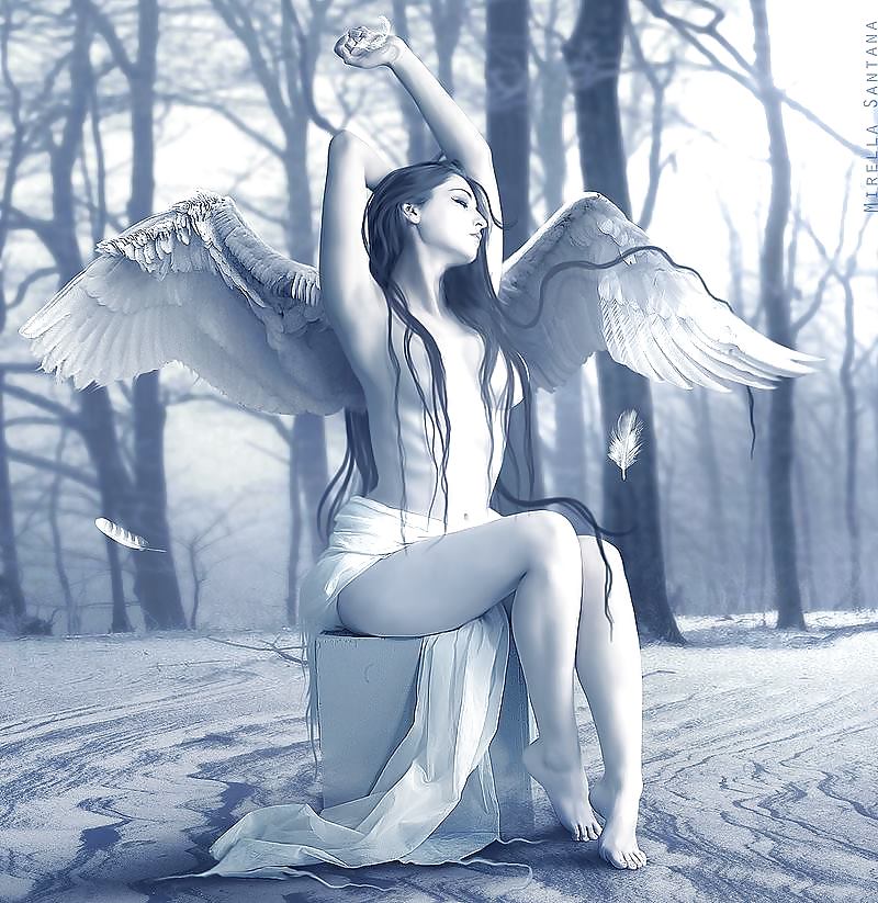 Para los amigos y todo.
 #24016152