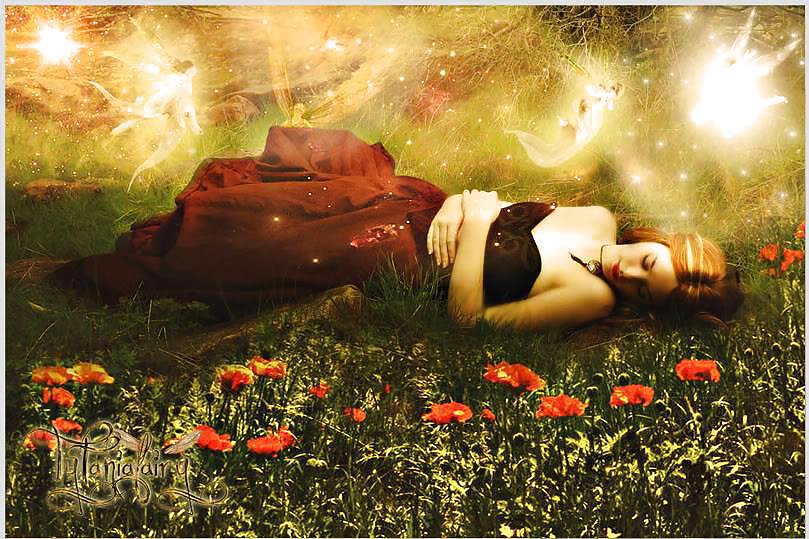 Para los amigos y todo.
 #24016183